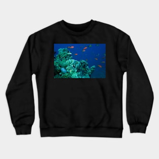 MARINE AQUATIC LIFE Crewneck Sweatshirt